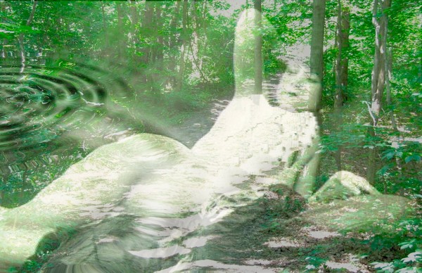 Nymph of the Wood