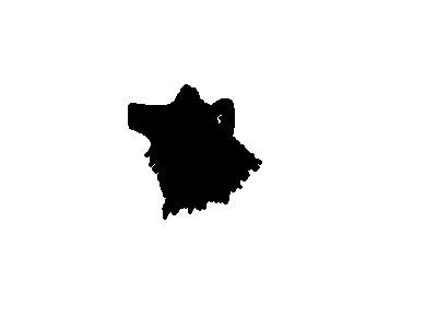 SNOW'S LOGO
