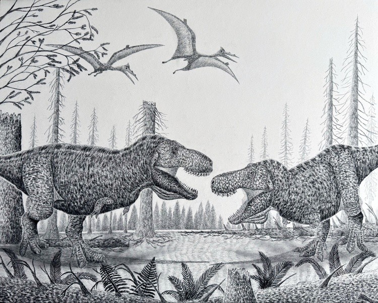 A Late Cretaceous Standoff