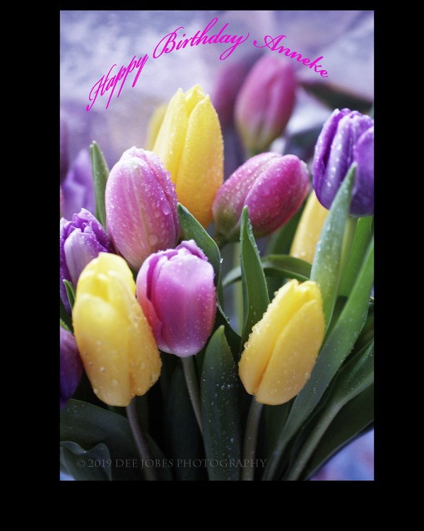 Happy Birthday Anneke!