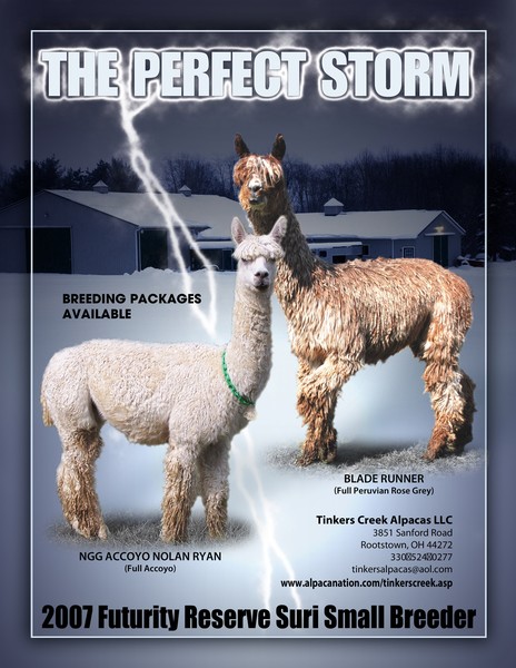 Tinkers Creek Alpacas Ad