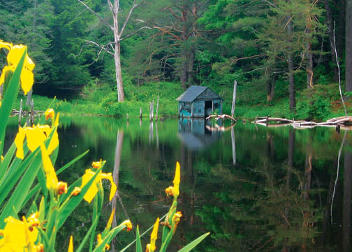 Reflections of Calm