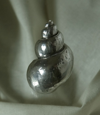 pewter shell