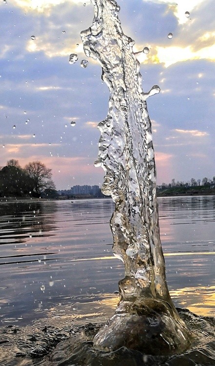 water dance vi