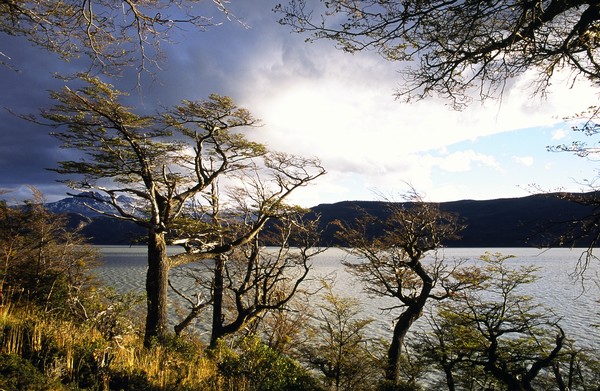 Lago Grey in Late Afternoon