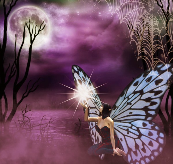 Catch a Falling Star