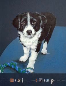Puppy