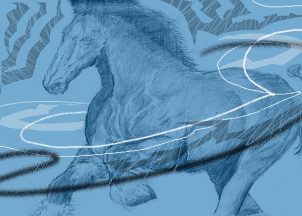 running horse t-shirt
