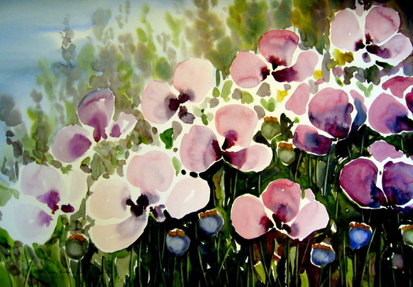 poppies