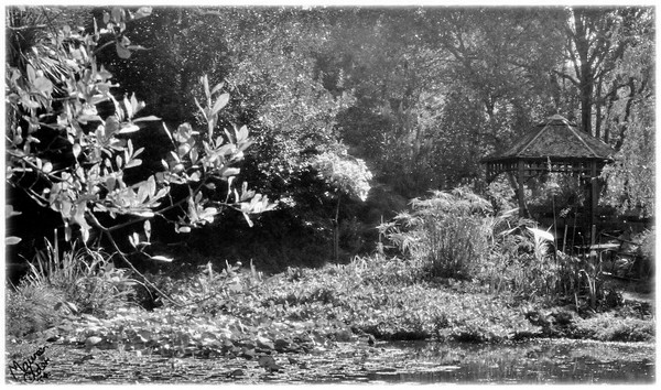 The Romantic Setting in black and white