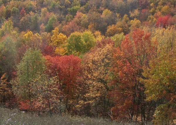 Fall in PA