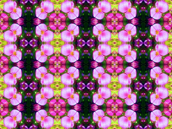 Pink Persuasion