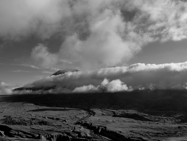 Shrouded