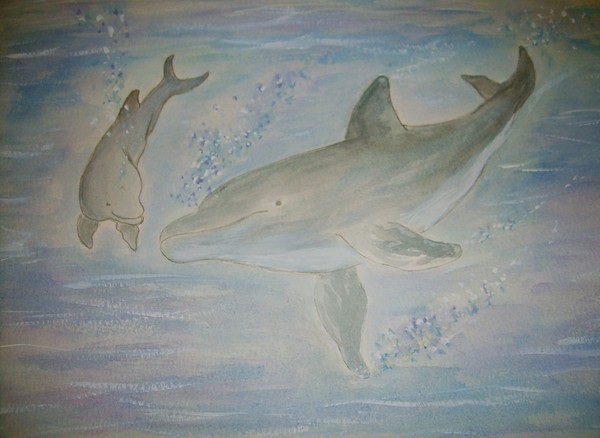 Amanda's Dolphin