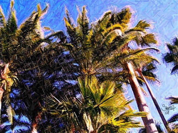 Tropical Breeze