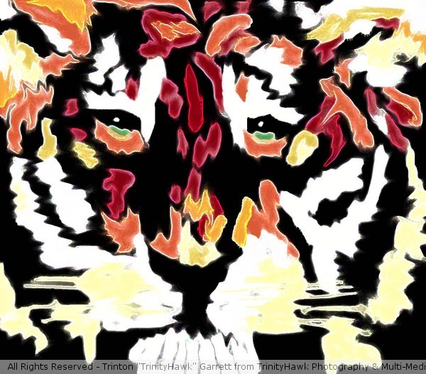 Air Spray Cat