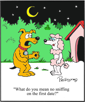 No Sniffing