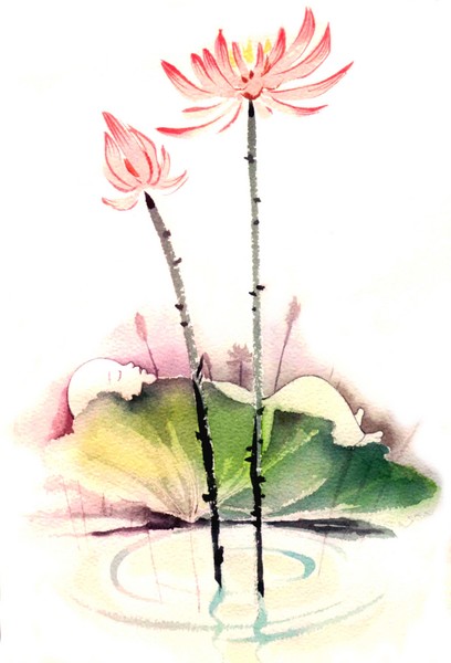 lotus baby