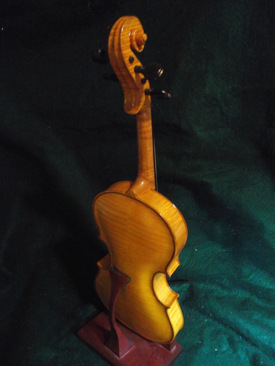 Violin Back