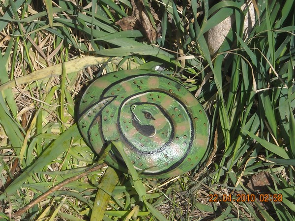 rock snake