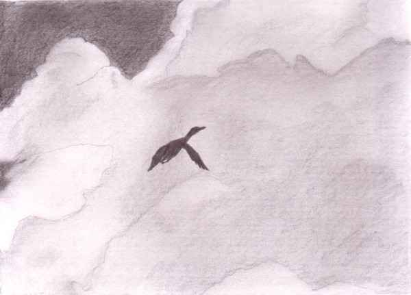 Duck in the Clouds