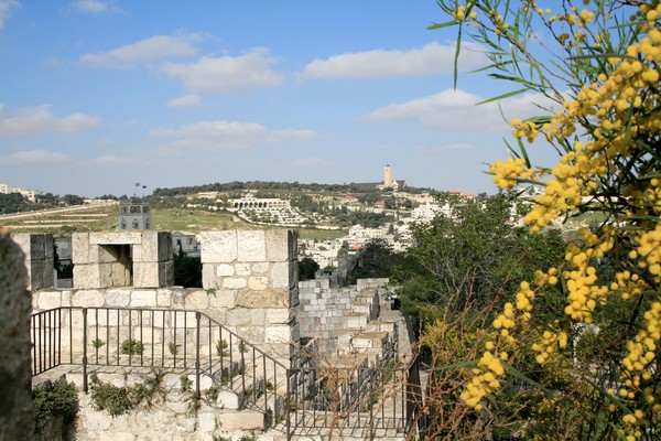 View from the Wall