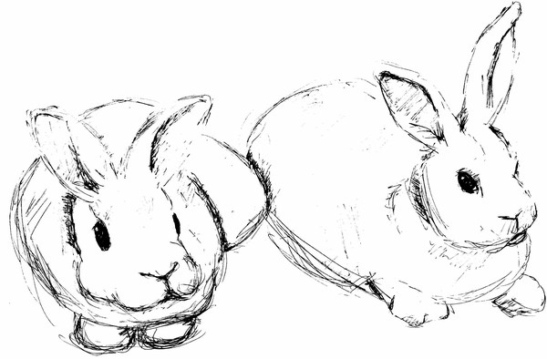 Bunnies/Sketchbook Pen & Ink/2008