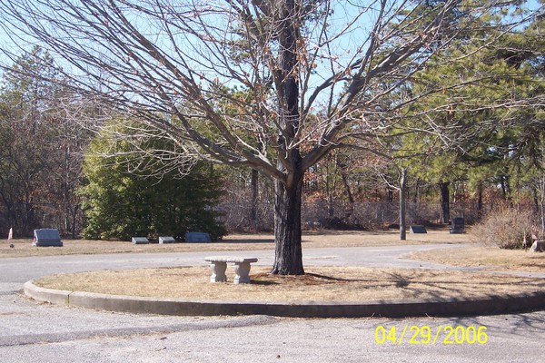 Little Bench