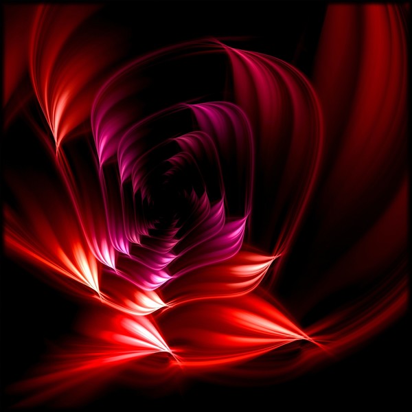 Spirit Of A Rose