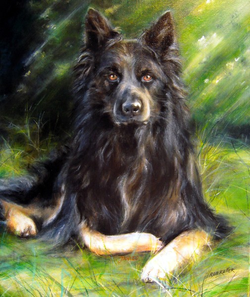 Jannes SOLD