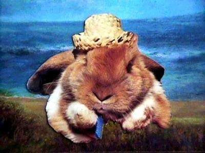 BEACH BUNNY