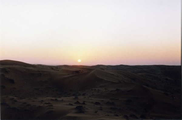 Desert Sunset