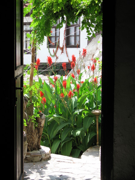 out[ofthe]door