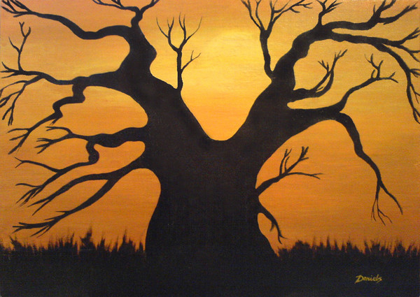 African Baobab Tree