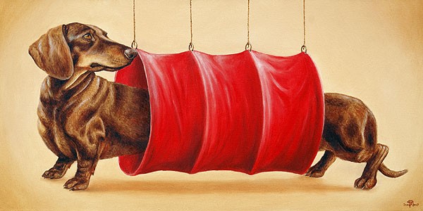 Chocolate Dachshund in the Tunnel