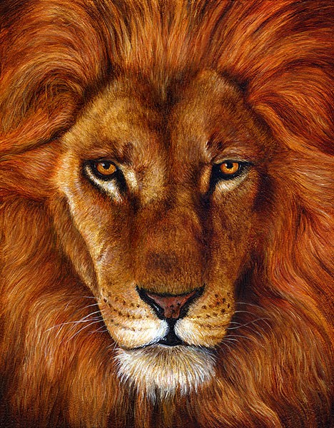 Lion King