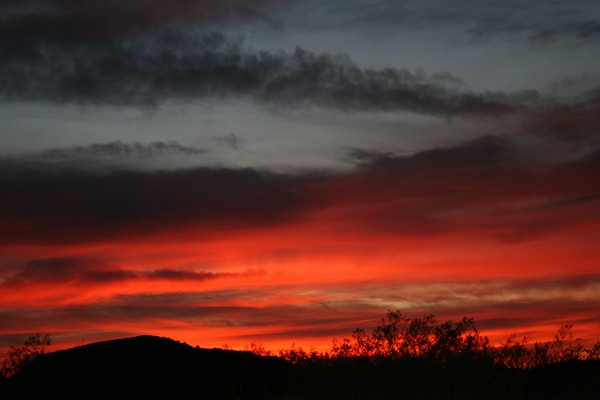 Sunrise Light #1 (up up close)