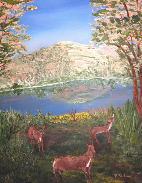 3 Deer