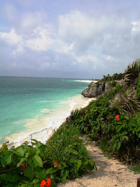 Pathway to the Beach