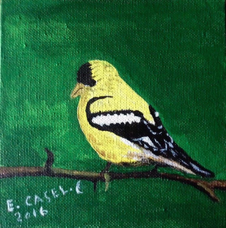 Gold Finch 