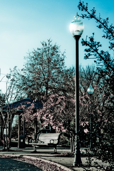 Bench #2