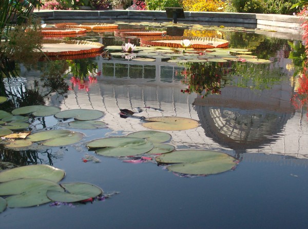 Reflecting