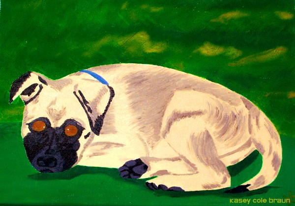 Dog 001 Pet Portrait 
