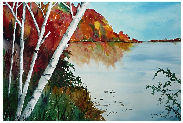 Fall Birch