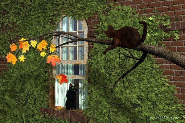 fall