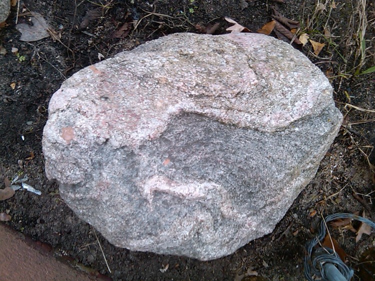 IMG01364-20101121-1334