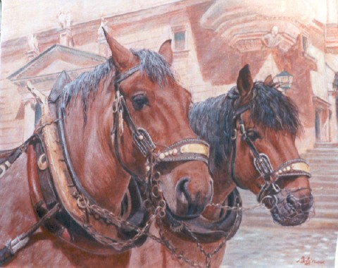 old horses-old harnesses