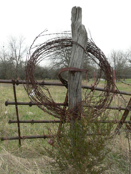 Barbed Wire on a Fence