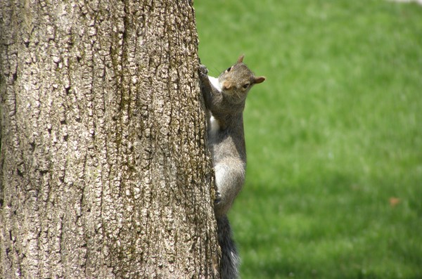 What U Lookin' At?