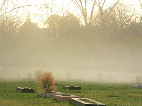 In A Fog